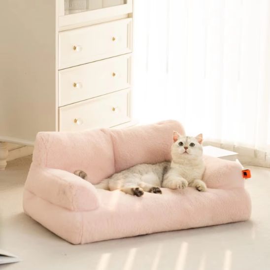 Coussin Chat