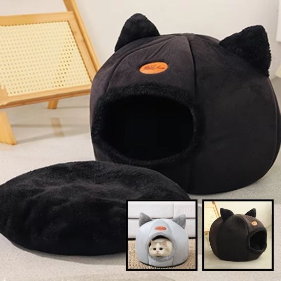 Panier Chat Design