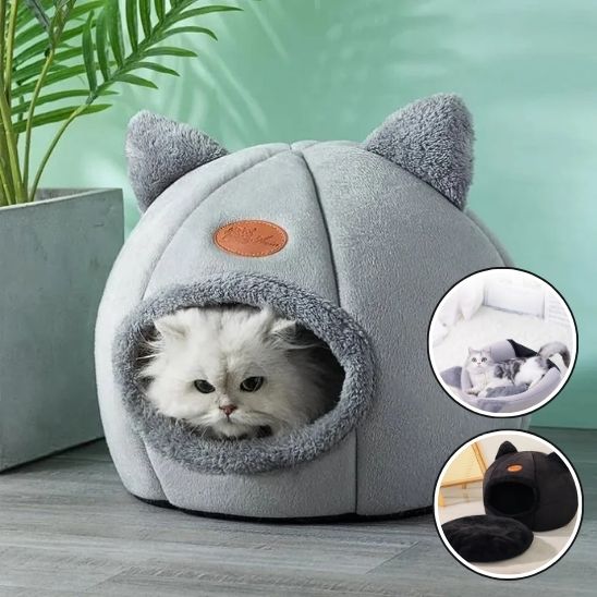Panier Chat Design
