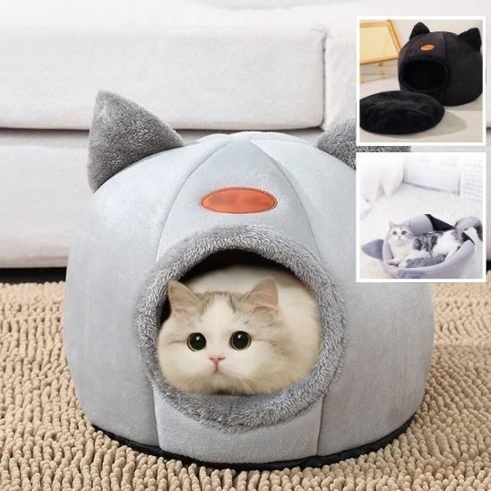 Panier Chat Design