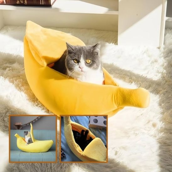 Panier Chat Design