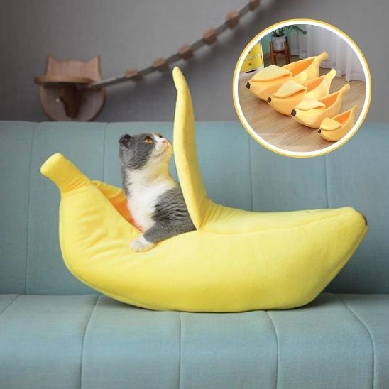 Panier Chat Design