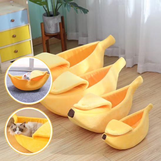 Panier Chat Design