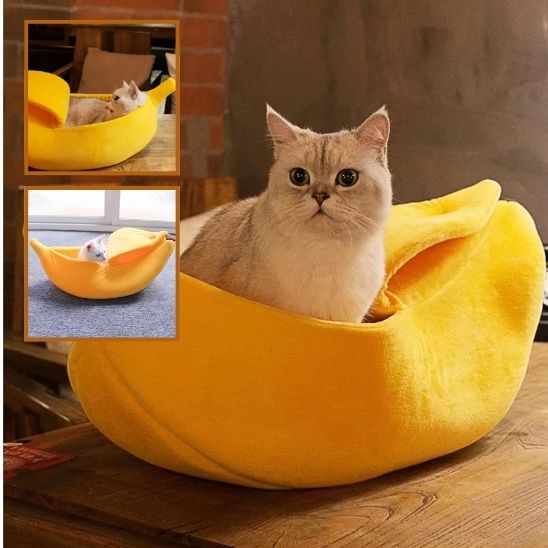 Panier Chat Design