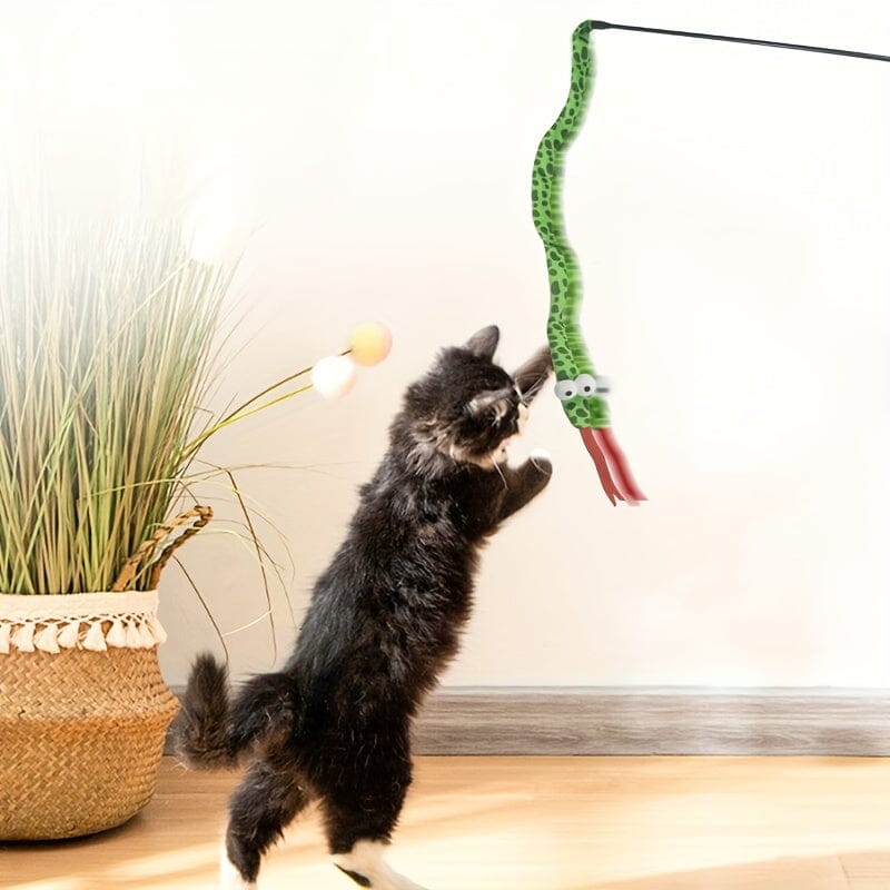 Chat Jouet - KittyCatch™ - Serpent