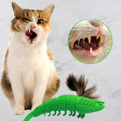 Jouet Interactif Chat - CatnipToys™ - Vert