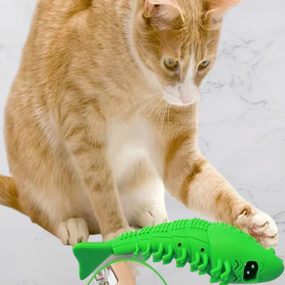 Jouet Interactif Chat - CatnipToys™ - Vert