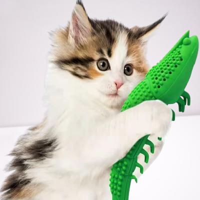 Jouet Interactif Chat - CatnipToys™ - Vert