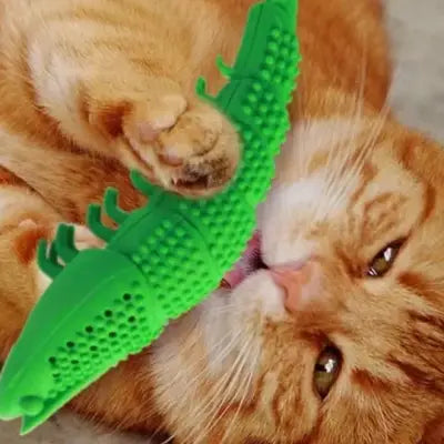 Jouet Interactif Chat - CatnipToys™ - Vert