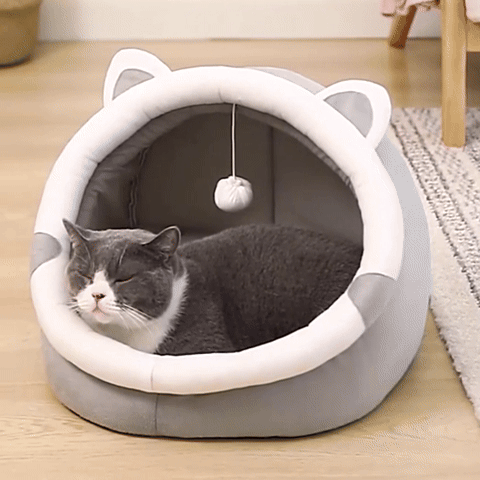 Panier Pour Chat