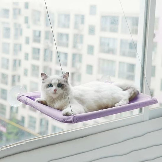 Hamac Pour Chat