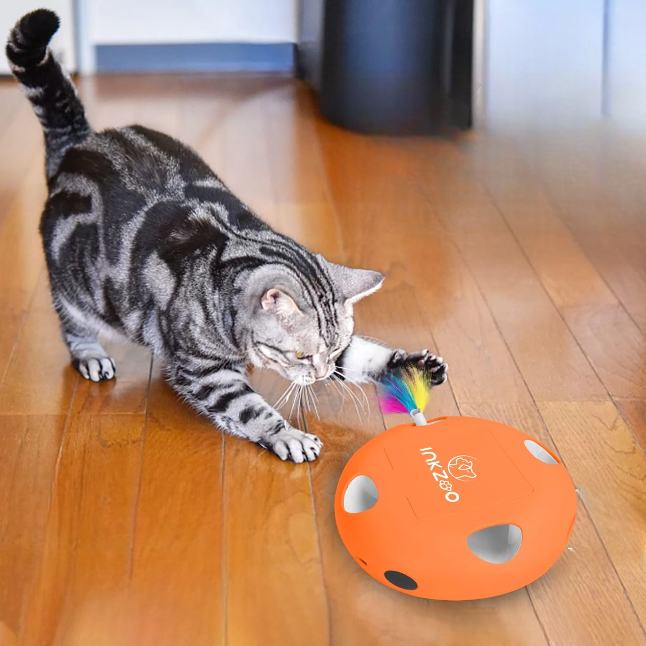 Jeux Chat - PlumeMagique™ - Orange