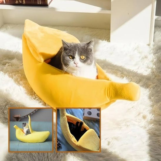 Panier Chat Design
