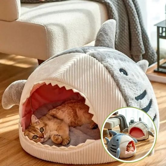 Panier Chat Design